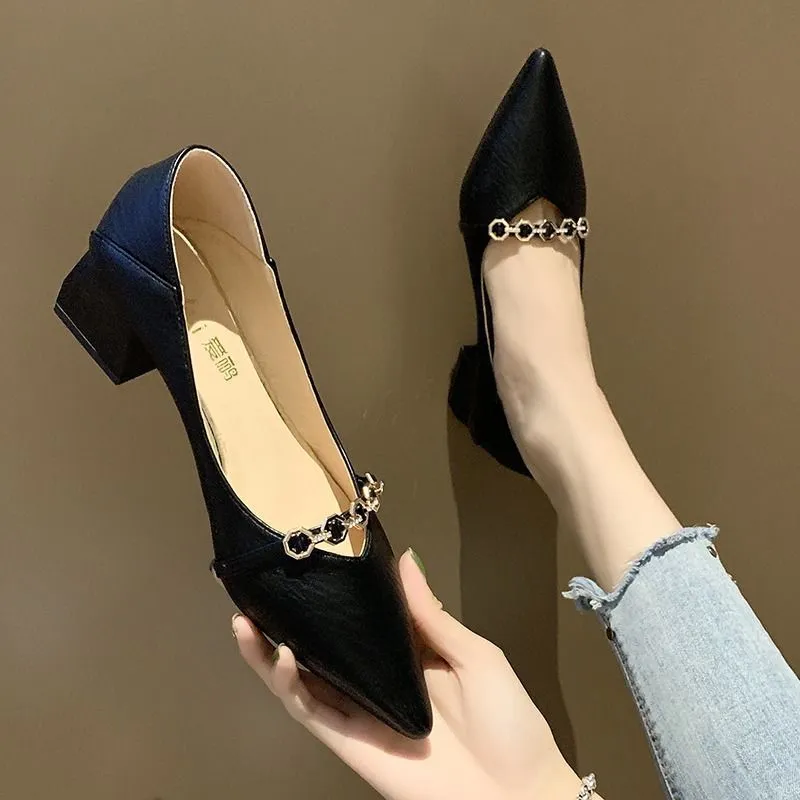 Pointed Toe Mid Heel Pumps