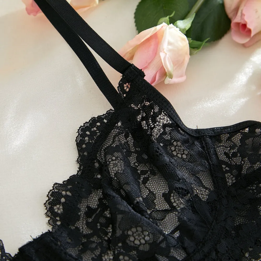 Sheer Lace Suspender Bra And Panty Set