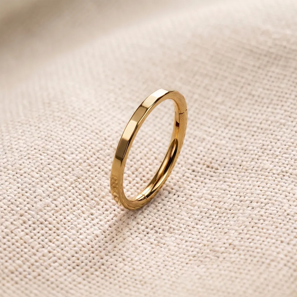 Modern Titanium Hinged Hoop Ring