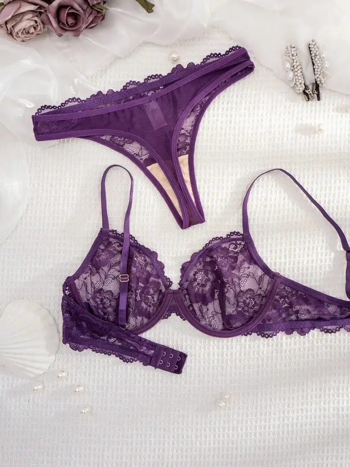 Delicate Lace Sheer Bra And Panty Set