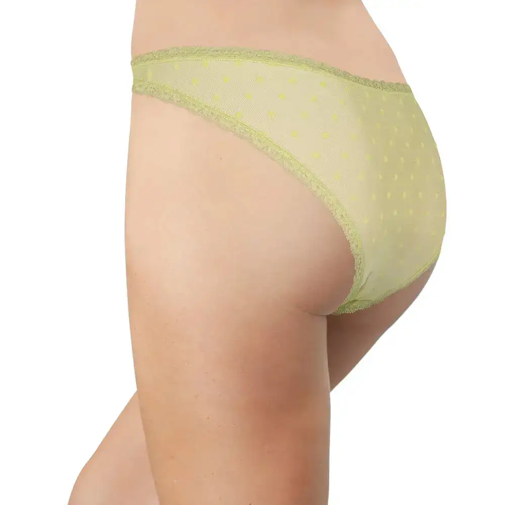 Lace Mesh Polka-Dot Everyday Panty