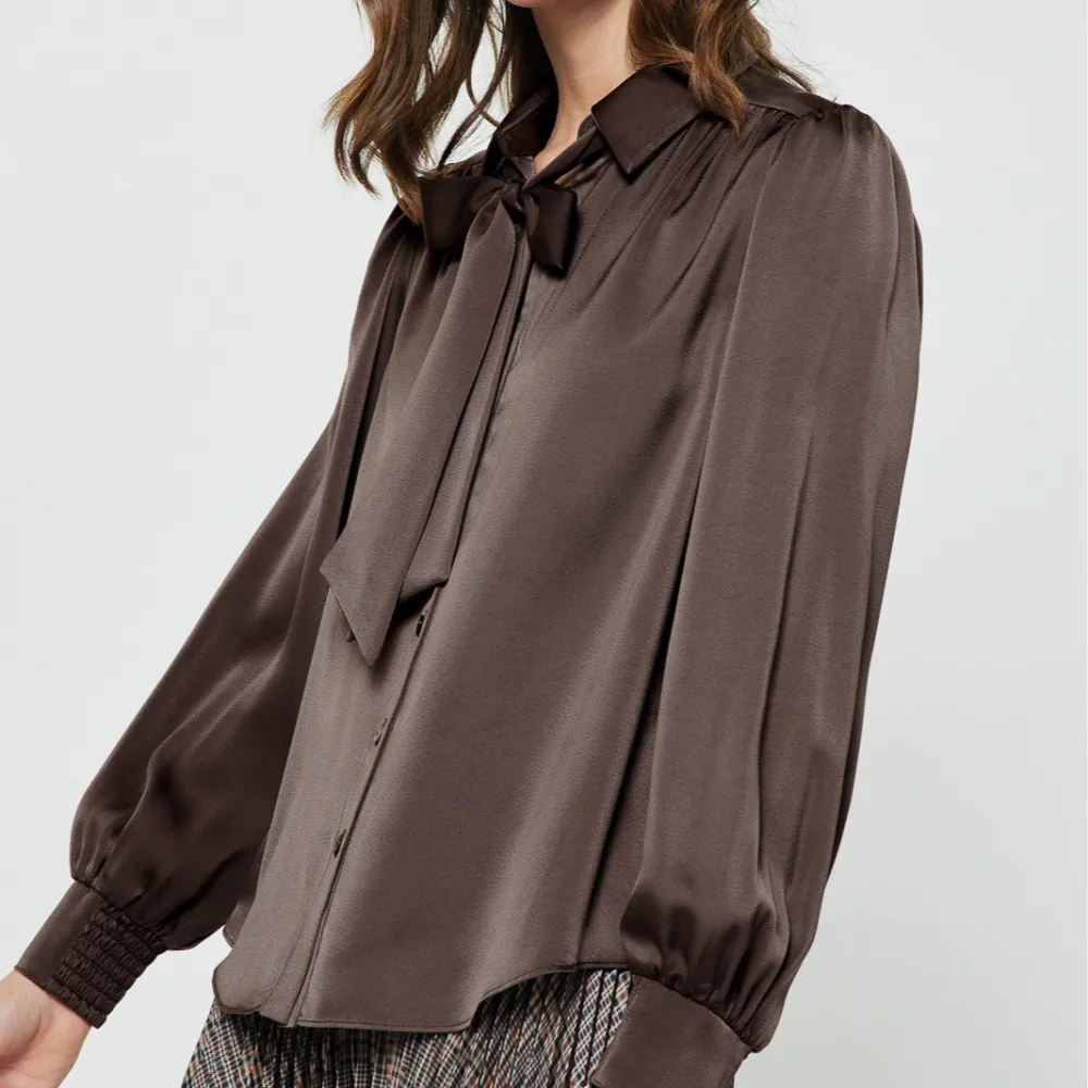Tie At Neck Satin Blouse