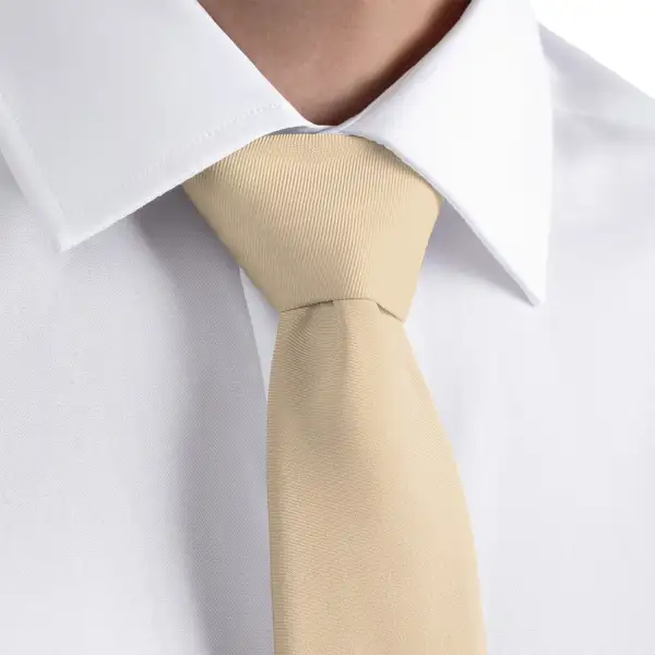 Elegant Solid Arrangement Necktie