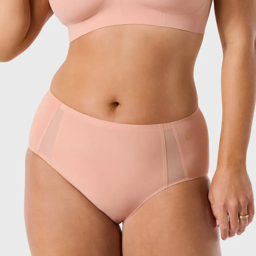 Mesh Detail Bikini Panty