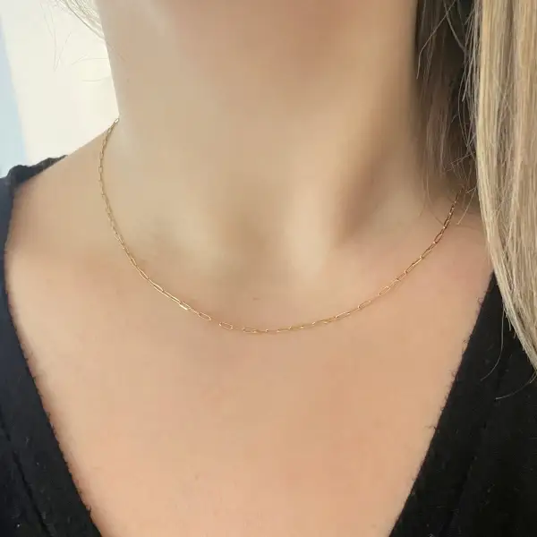 Classic Classic Paperclip Necklace