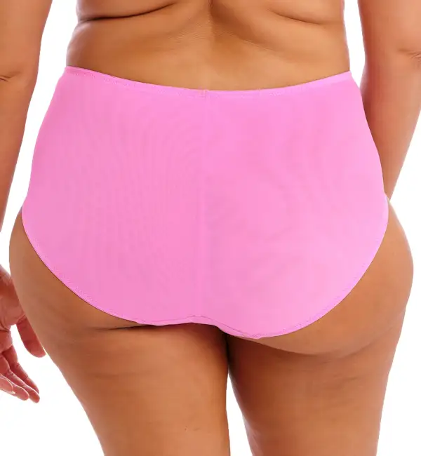 Modern High-Waist Lace Mesh Full-Coverage Brief Panty