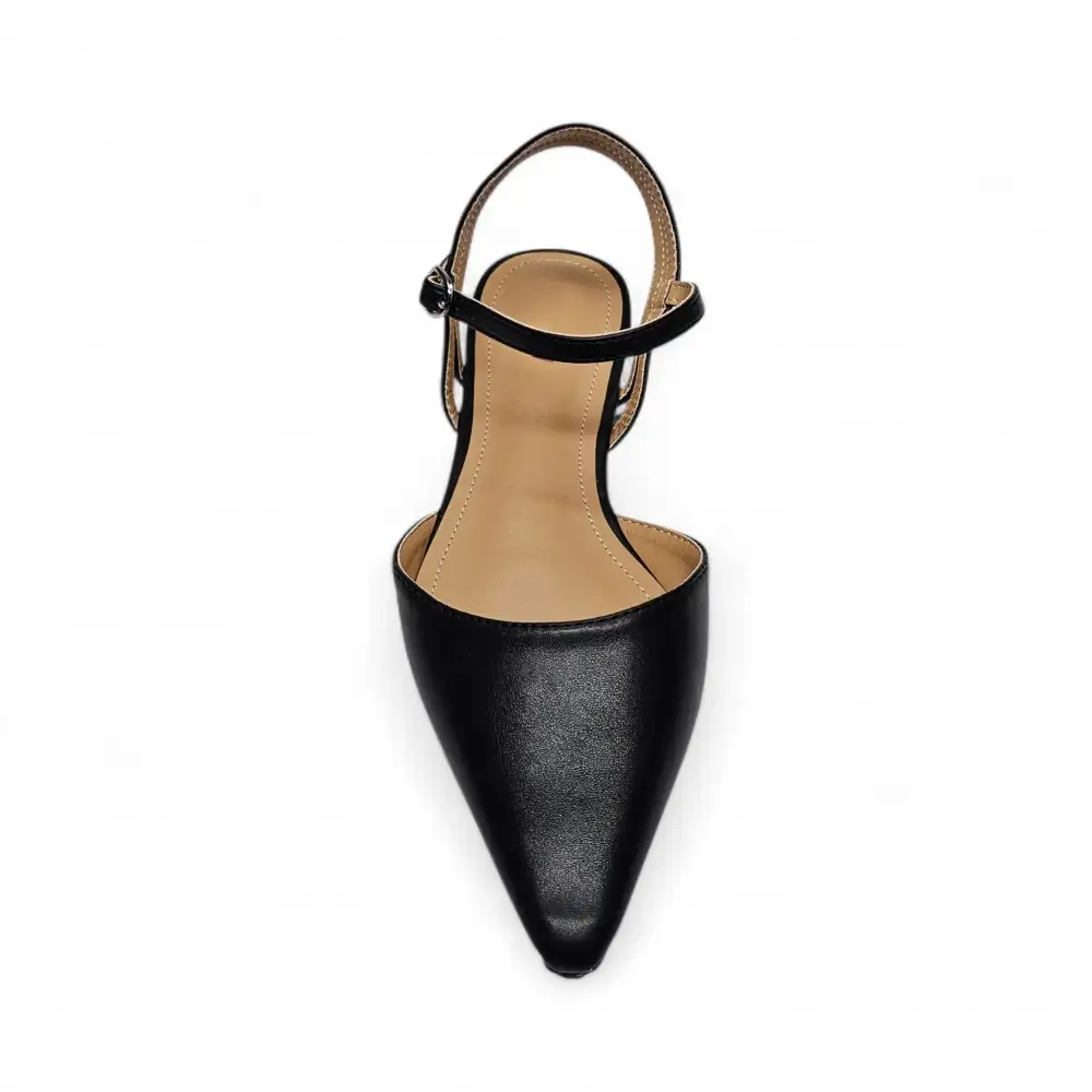 Wise Pointy Toe Ballet Flat