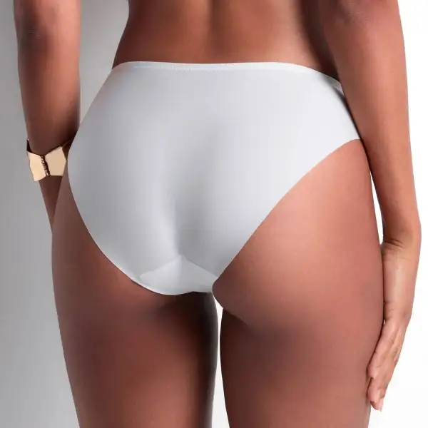 Women's Embroidery Mesh Microfiber Cotton Cutout Detail Bikini Panty