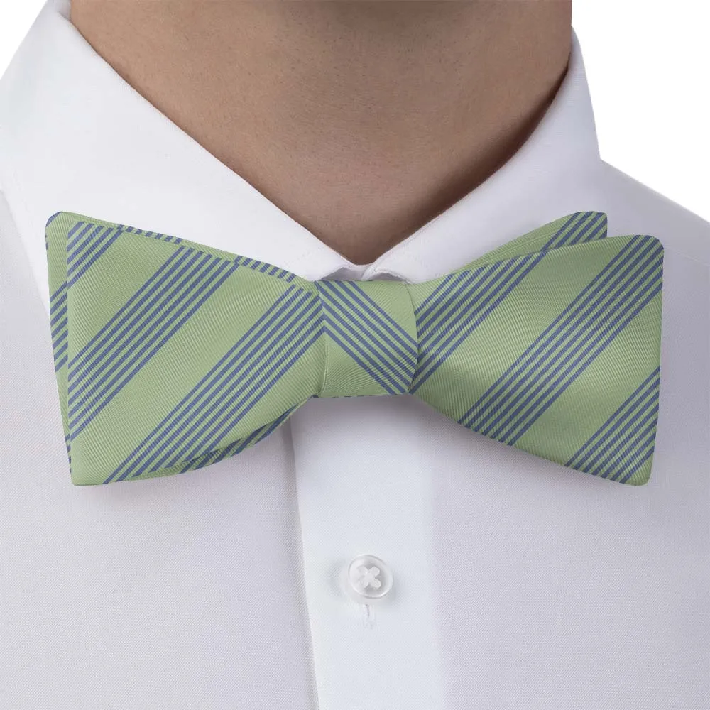 Lincoln Stripe Motif Bow Tie