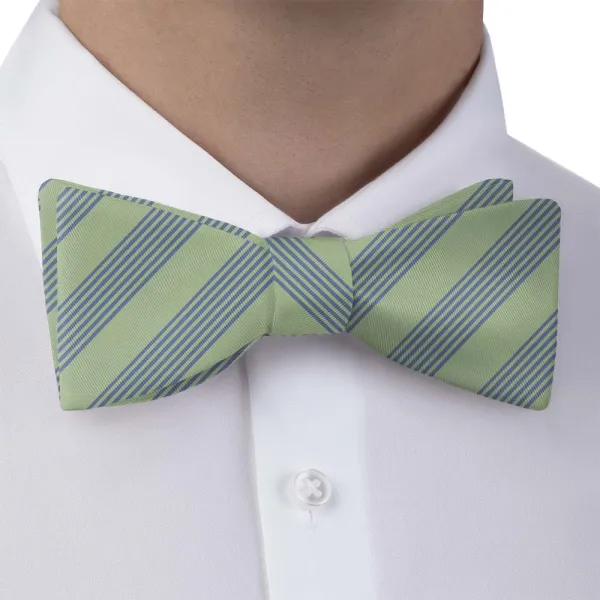 Lincoln Stripe Motif Bow Tie