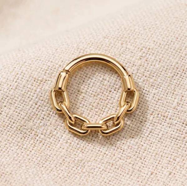 Everyday Surgical-Steel Hinged Hoop Ring