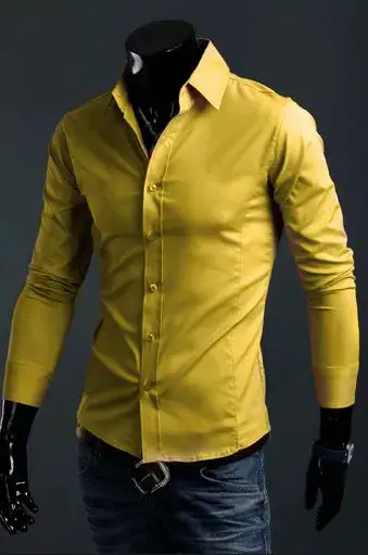 Long Sleeve Slim Fit Business Casual Shirt