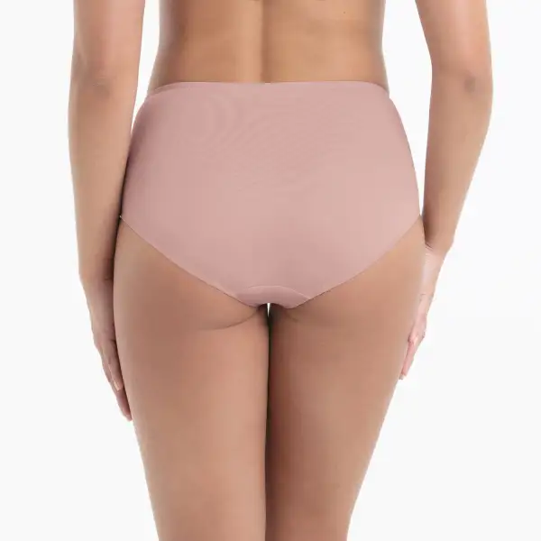Women's Full Coverage Cotton Gusset Floral Lace Mesh Microfiber Cotton Second Skin Soft Fabric Brief Panty