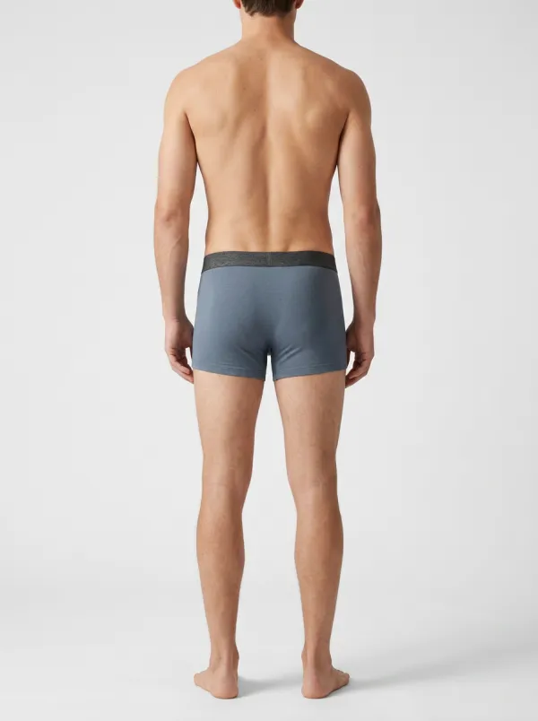 Everyday Minimalist Elastic Waistband Boxer Briefs