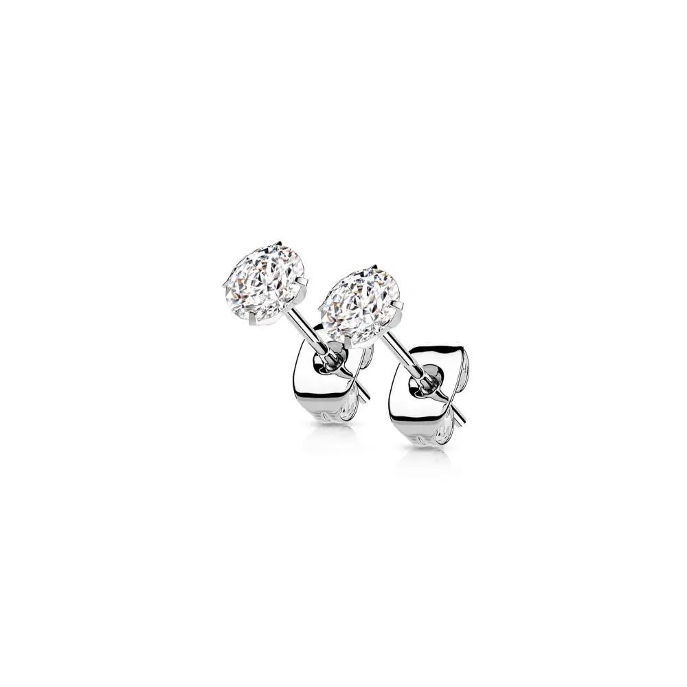 Titanium Crystal Stud Earrings