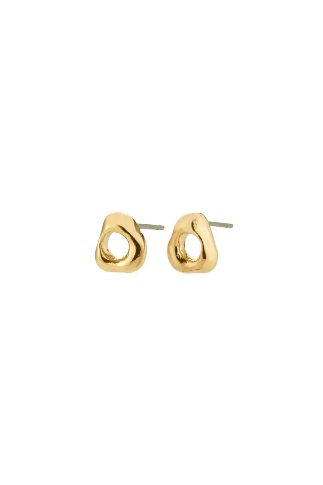 Organic Glossy Earrings