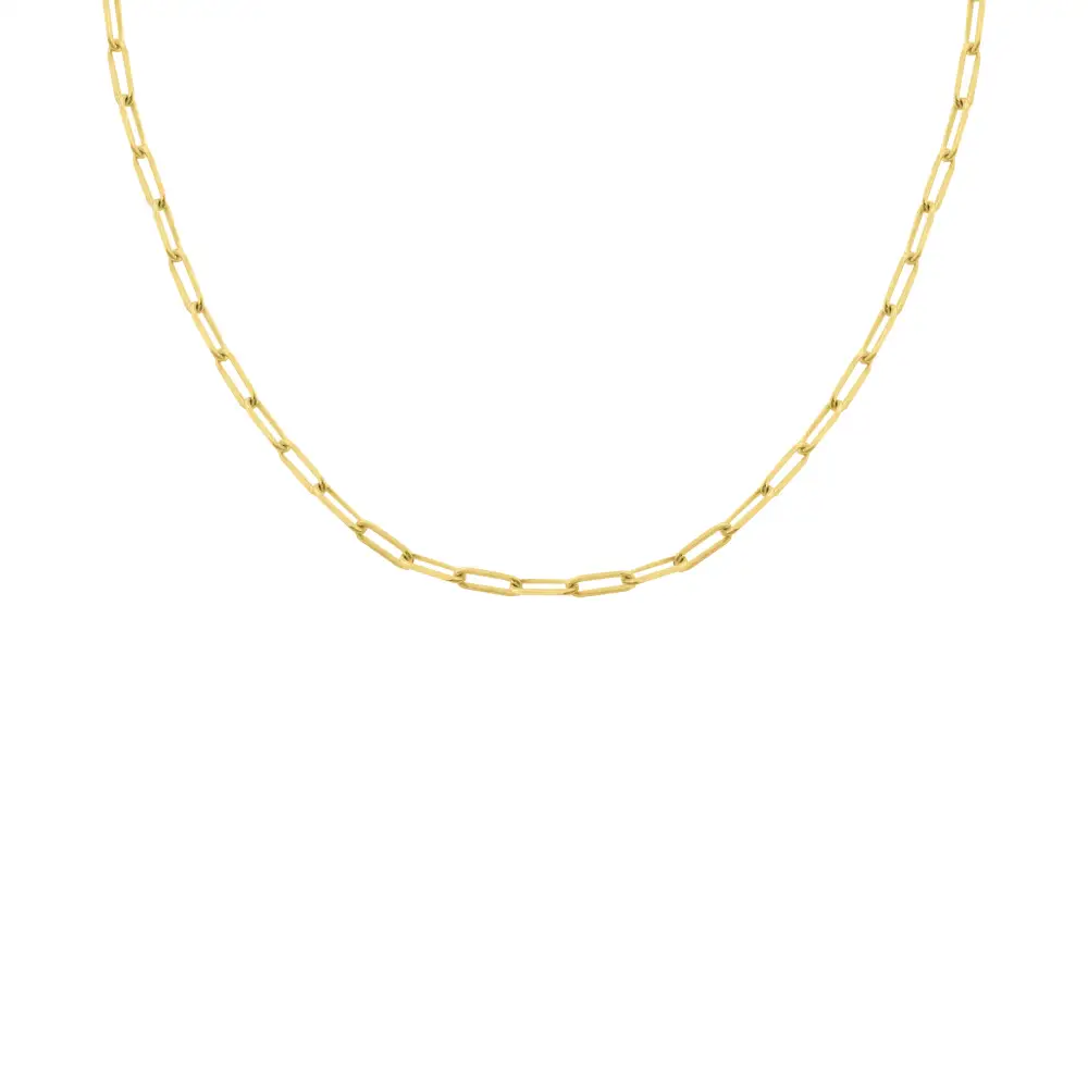 Classic Classic Paperclip Necklace