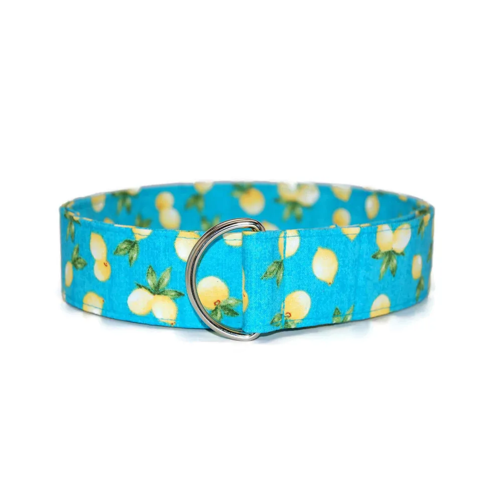 Lemon Pattern D-Ring Cotton Belt