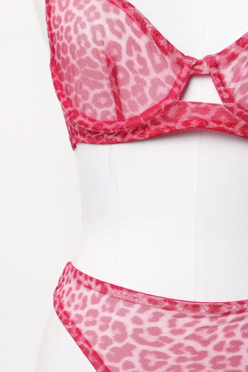 Graceful Mesh Lingerie Set