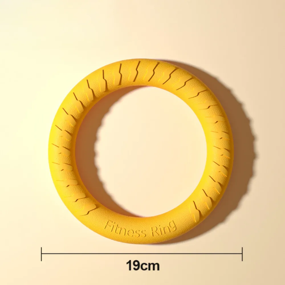 Pet Dog Training Frisbee | Dog Training Pull Ring and Flying Plate | Dog Toy | Dog Flying Toy | Dog Interactive Toy