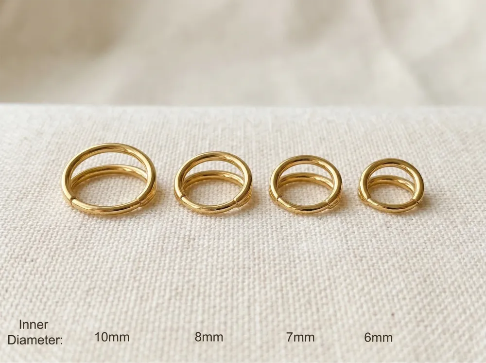 Titanium Hinged Segment Ring
