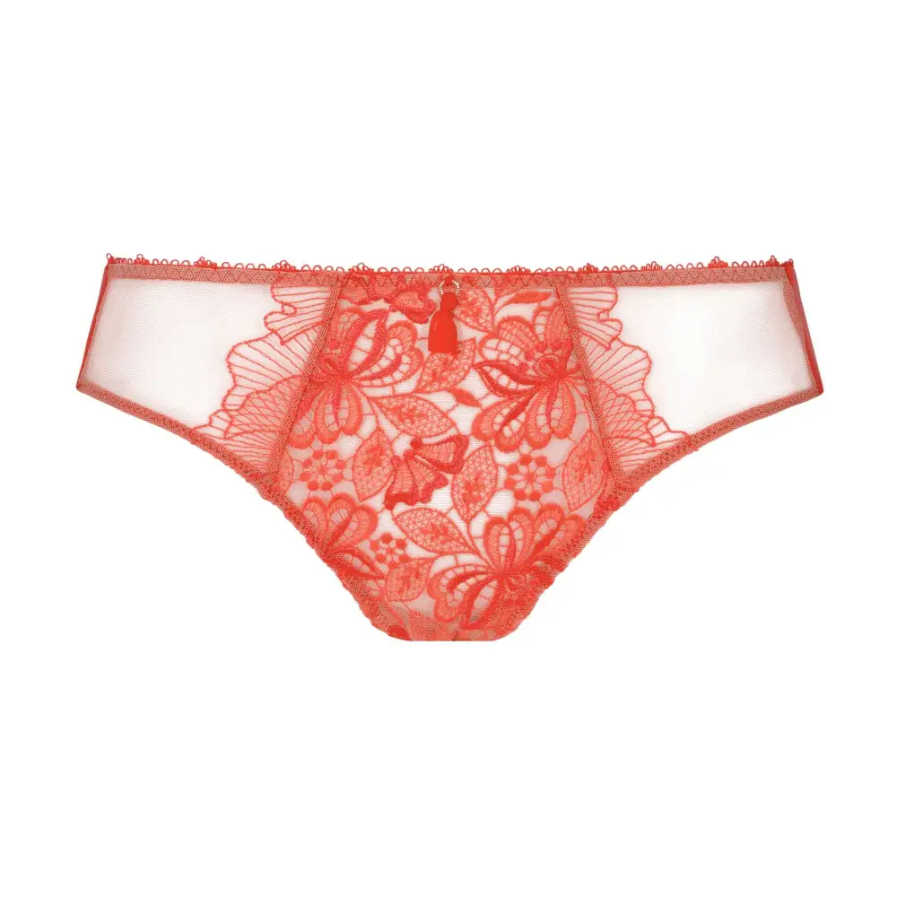 Women's Embroidery Mesh Bikini Panty