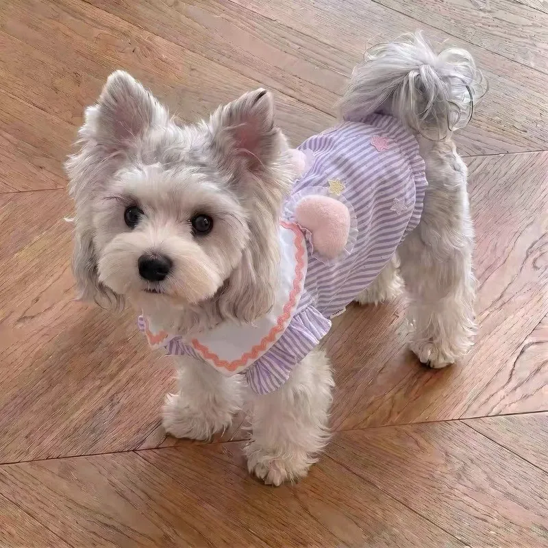 Summer Thin Pet Skirt Teddy Bichon Cat Small Dog Poodle Pomeranian Pomeranian Maltese Dog Clothes