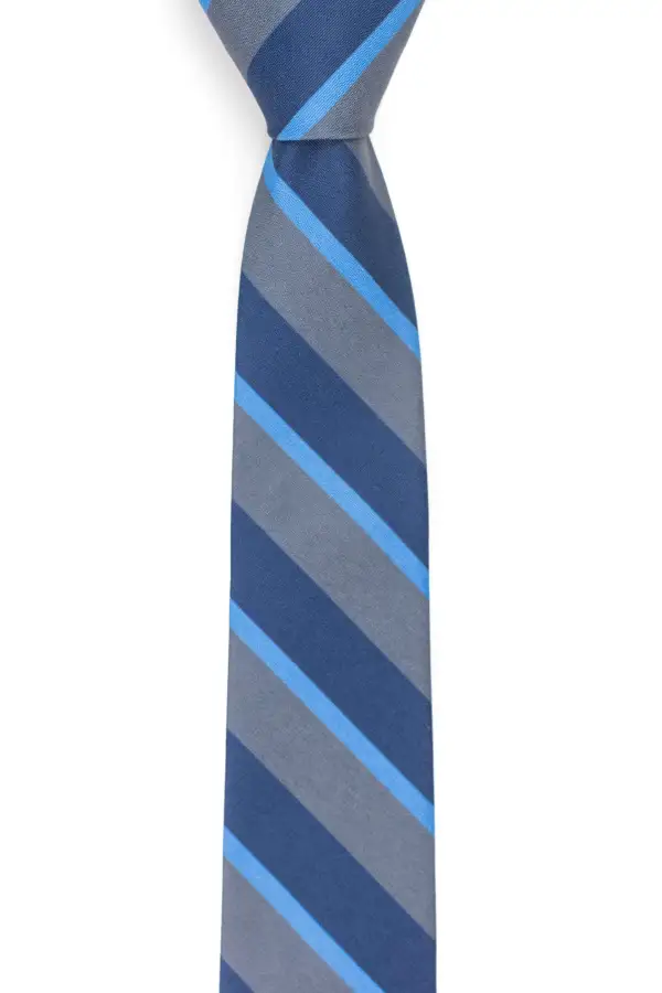 Contemporary Striped Pattern Necktie