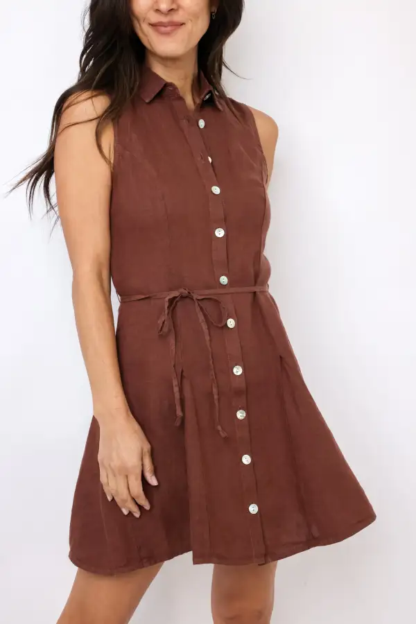 Sleeveless Seamed Shirt Mini Dress
