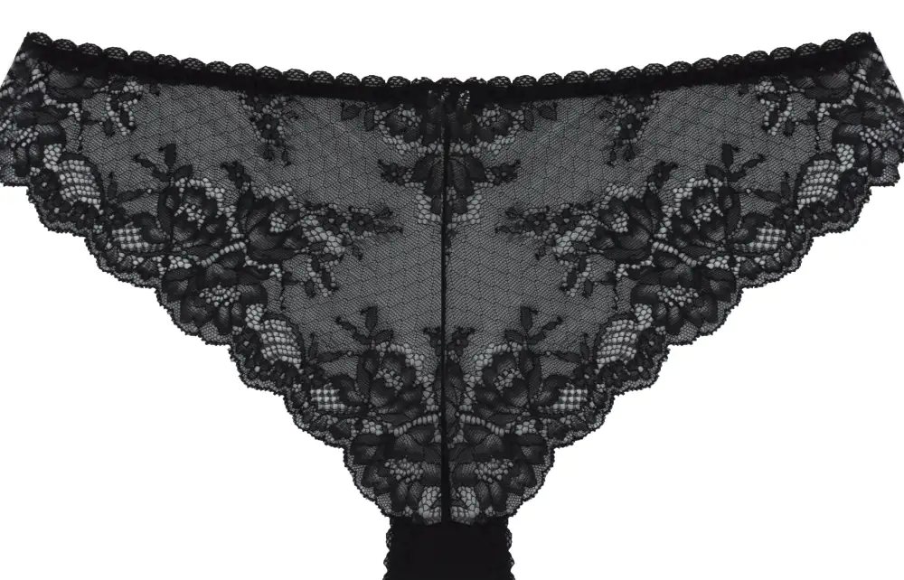Modern Lace Brazilian Panties