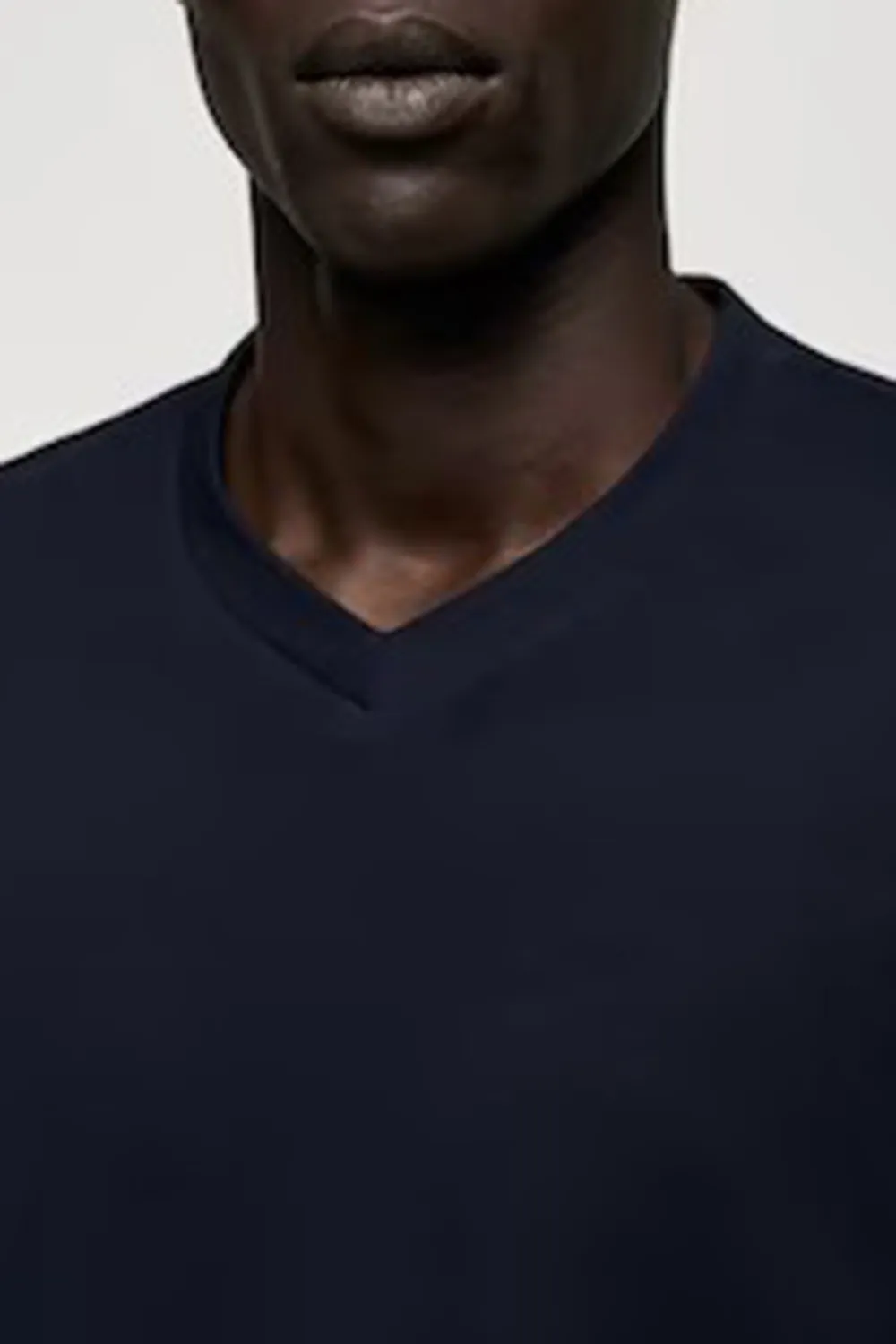 Regular Fit Cotton V-Neck T-shirt