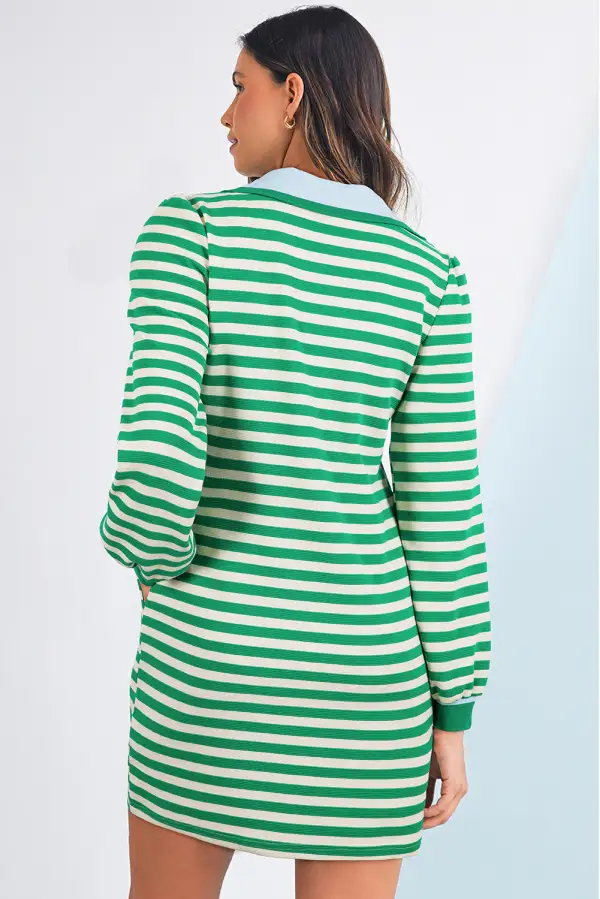 Contrast Collar Split Neck Long Sleeve Mini Dress